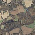 Tree on power lines sparks small ground fire