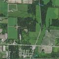 Man reports leg pain after fall during arrest in Woodville