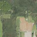 Elderly woman with weakness and diarrhea in Michigan