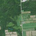 Elderly woman falls near Route 374 with head and hand injuries