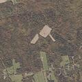 Teen with suicidal thoughts at Pinewood near White Schoolhouse