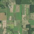 Animal not moving at rural property