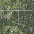 Person suffers allergic reaction near Tamarack Drive