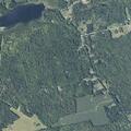 Loose dog reported on side of Otis Road