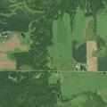 Cows reported in roadway on 152nd Avenue