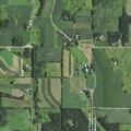 Cattle roaming near highway in Glenwood Township