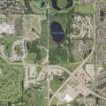 Person feeling dizzy near Maple Grove