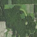 Fire alarm and possible gas alarm at rural home