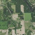 Dead deer blocking road in Somerset Township