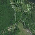 Tree on power line sparking near Highway 42