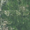 75-year-old male fluctuating consciousness in Boyne Falls