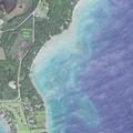 Two kayakers and dog in distress without life jackets