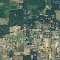 Deer reported near South Highway 211