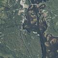 Car strikes deer on Arnold Trail in Eustis