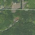 Downed power line over roadway and in trees
