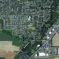 Person reported sick near Shirley Drive