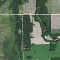 Cows in ditch near roadway on 250th Street