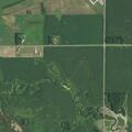 Report of deer hit and vehicle leaving the scene