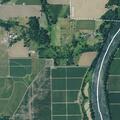 Person reported sick at Northeast Dog Court Landing Road