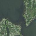 Person in crisis with arm lacerations in Forest Lake
