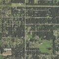 Teen girl vomiting blood at Willow Trails