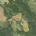 Two dogs chased man at Quinn Creek Highway