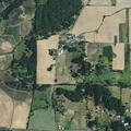 Adult fainting near NW Meadow Lake Road in Carlton