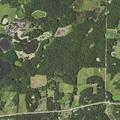 Deputies respond to domestic assault with golf club