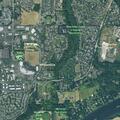 Allergic reaction at apartment on Southwest Rose Lane