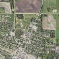 Plants reported stolen and yard damage reported