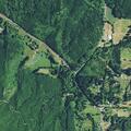 Vehicle collision with deer on Sand Lake Road