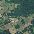 Woman falls and hits head near South Redland Road