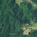 Medical call dispatched to Sandlake Road address
