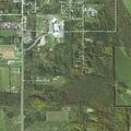 Elderly confused female found wandering in yard