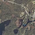 Disoriented man found near possible accident scene
