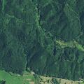 73-year-old man conscious after fall in Tillamook