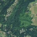 Person sick at SE Highway 224 and Peppers Ferry Rd