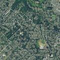 Person reporting abdominal pain near Webster Road