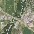 Infant with breathing trouble and mother fainted