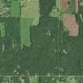 Person suffers allergic reaction near 21 1/2 Street in Cameron