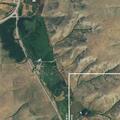 Loose cows reported near Butcher Creek Road