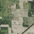 Loose cattle reported on 210th Street