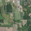 Loose cattle reported on roadway near cemetery