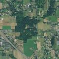 Person having breathing problems on Southeast McCreary Lane