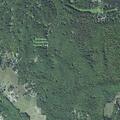 Rabid coyote reported near Timber Pass homes