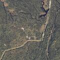 Tree partially blocking lane on Route 168