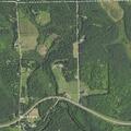 Dogs reported killing chickens at rural property
