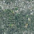Person experiencing chest pain near Beaverton