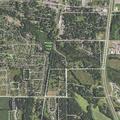 Male subject possibly in roadway on Elm Street in blue t-shirt
