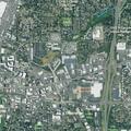 Person reported sick near southwest Lombard Avenue